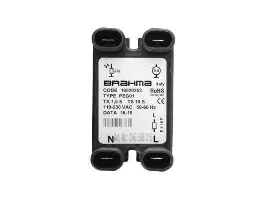 Brahma PEG01 16020253 firing unit.
